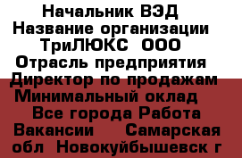 Начальник ВЭД › Название организации ­ ТриЛЮКС, ООО › Отрасль предприятия ­ Директор по продажам › Минимальный оклад ­ 1 - Все города Работа » Вакансии   . Самарская обл.,Новокуйбышевск г.